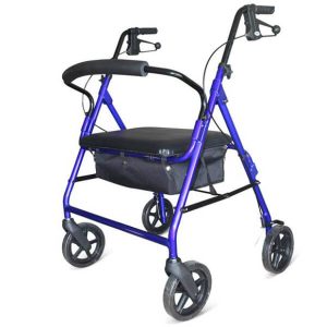 Heavy Duty Walker
